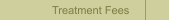 Treatment Fees